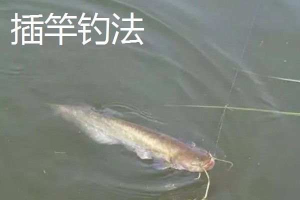 垂钓胡子鲶鱼适合用什么饵料，鸡肝、鸭肠、蚯蚓等鱼饵均可选择