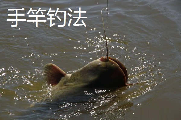 垂钓胡子鲶鱼适合用什么饵料，鸡肝、鸭肠、蚯蚓等鱼饵均可选择