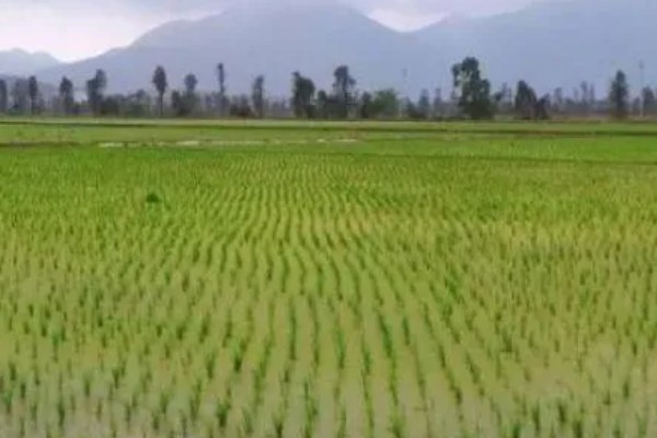 有哪些农业生态效益，包括经济效益和社会效益等