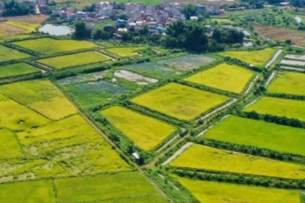 有哪些农业生态效益，包括经济效益和社会效益等