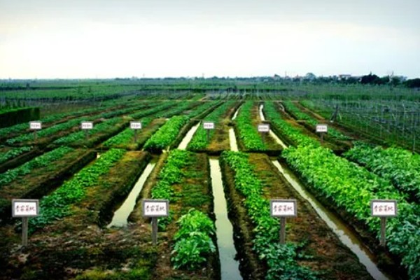 有哪些农业生态效益，包括经济效益和社会效益等