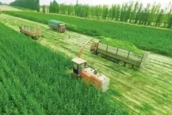 有哪些农业生态效益，包括经济效益和社会效益等