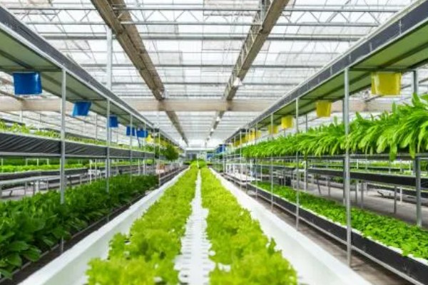 有哪些农业生态效益，包括经济效益和社会效益等