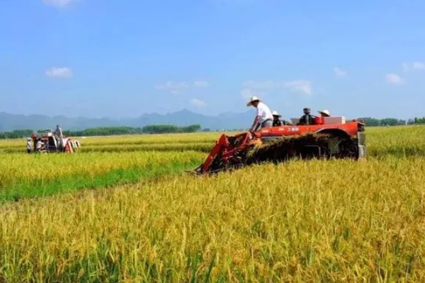 有哪些农业生态效益，包括经济效益和社会效益等