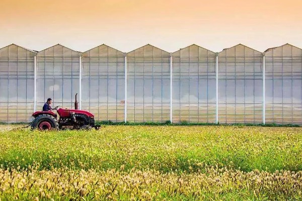 有哪些农业生态效益，包括经济效益和社会效益等