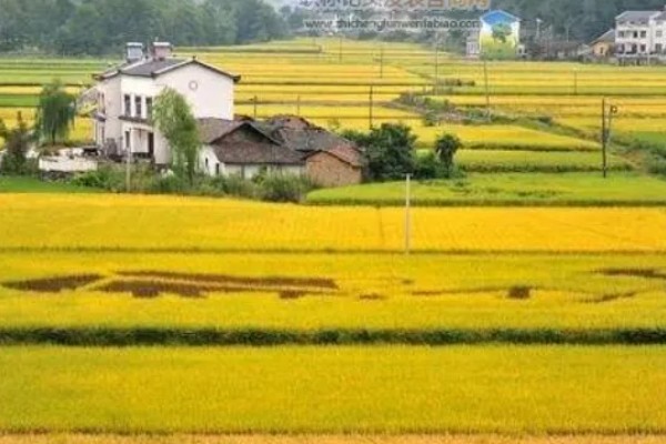 有哪些农业生态效益，包括经济效益和社会效益等