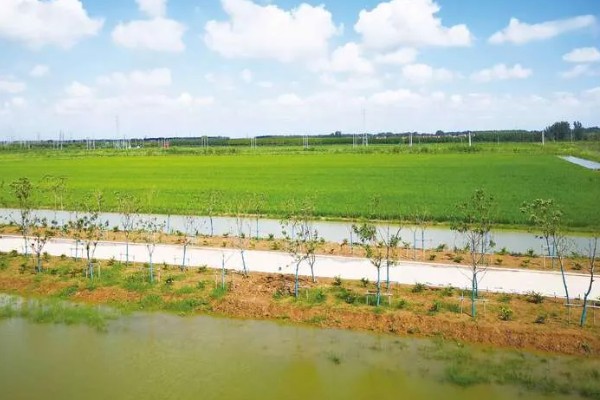 有哪些农业生态效益，包括经济效益和社会效益等