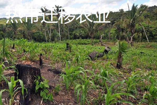 有哪些农业生态效益，包括经济效益和社会效益等