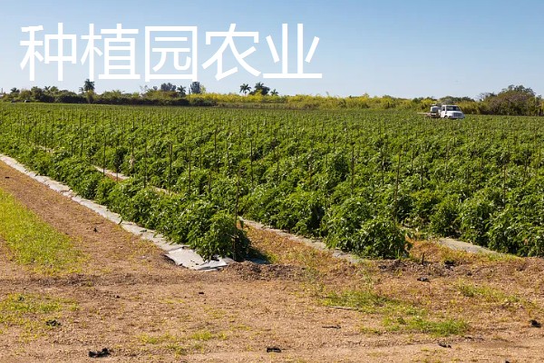 有哪些农业生态效益，包括经济效益和社会效益等