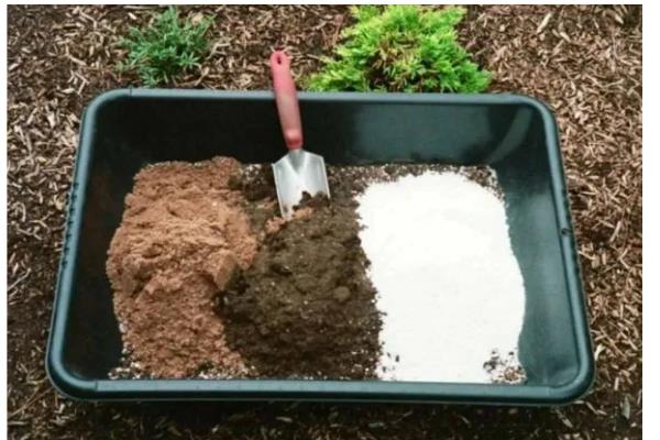 苹果树盆栽方法，上盆后要浇透水