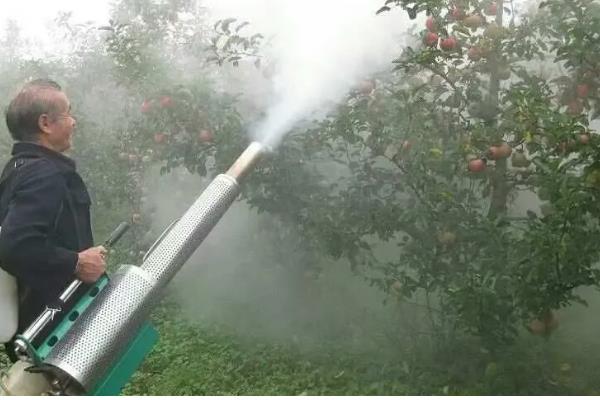 苹果树盆栽方法，上盆后要浇透水