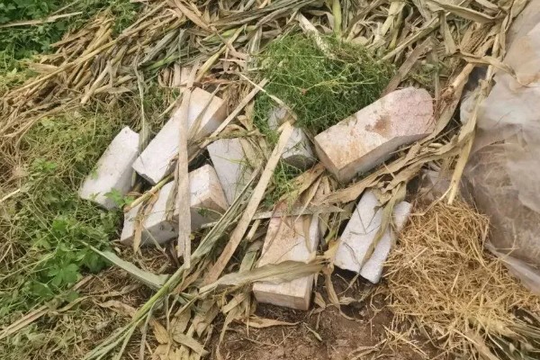 蔬菜怎么降温，覆盖遮阳网可避免灼伤