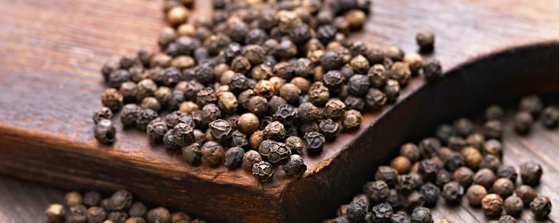 胡椒怎么加工，黑胡椒与白胡椒的加工方式不同