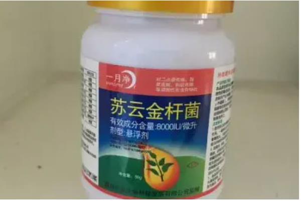 苏云金杆菌可以持效多久,持效期为1天左右
