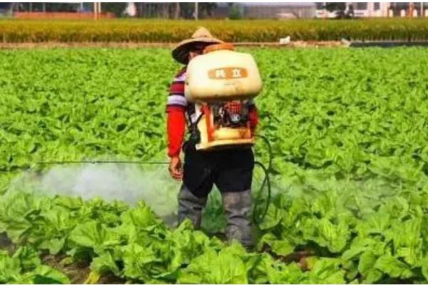 苏云金杆菌可以持效多久,持效期为1天左右