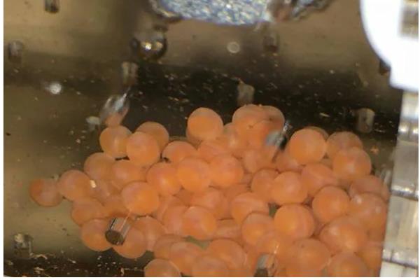 鱼卵的外观，一般呈圆球状