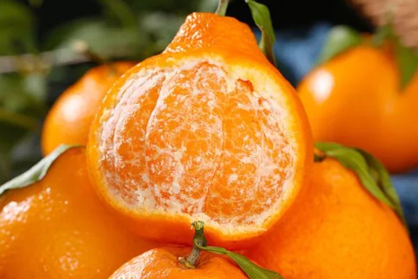 耙耙柑的产地，在我国主产于四川、湖南等省份