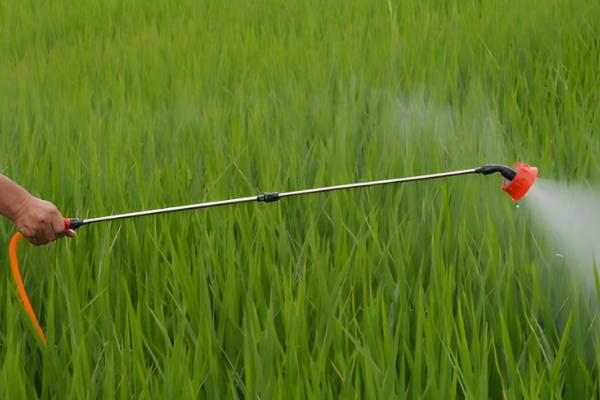 打除草剂过多久才能追肥，不同作物的间隔期有区别