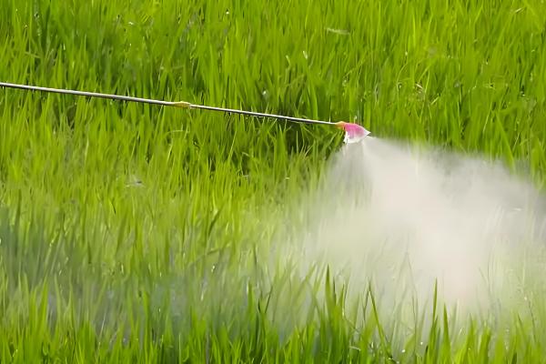 打除草剂过多久才能追肥，不同作物的间隔期有区别