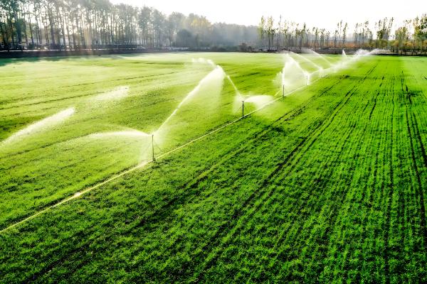 打除草剂过多久才能追肥，不同作物的间隔期有区别