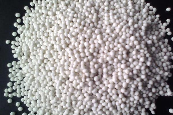 洋水仙开花后如何处理，关键之处就是剪掉残花