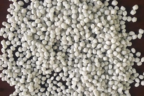 雪菜的简介，属于芥菜的变种