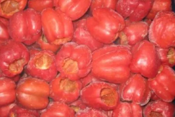 怎么贮藏甜椒,采取灰藏法可随用随取