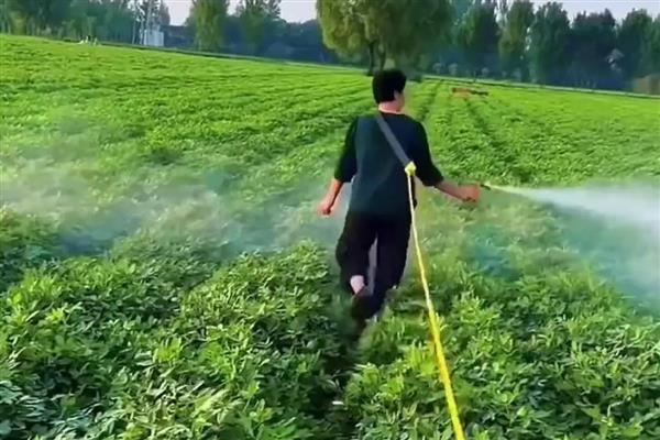 植物调节剂怎么复配使用，针对作物不同使用方法也不同