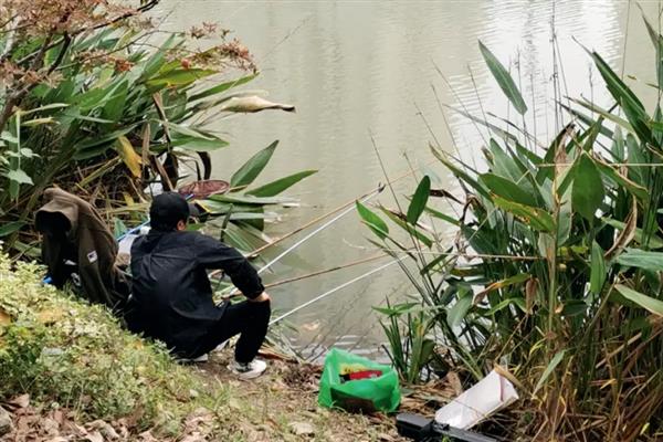 怎么配制专钓大鲫鱼的饵料,根据当前季节选择以下三个配方