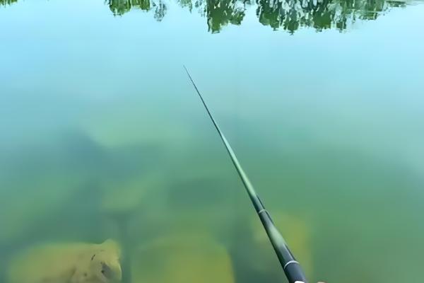 钓白条鱼用哪种饵料打窝，推荐商品饵料、麦麸饼等