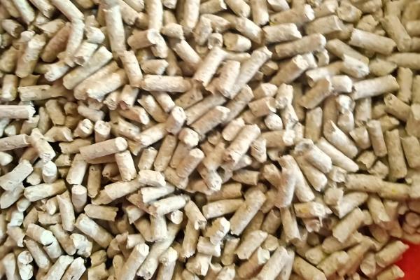 钓白条鱼用哪种饵料打窝，推荐商品饵料、麦麸饼等