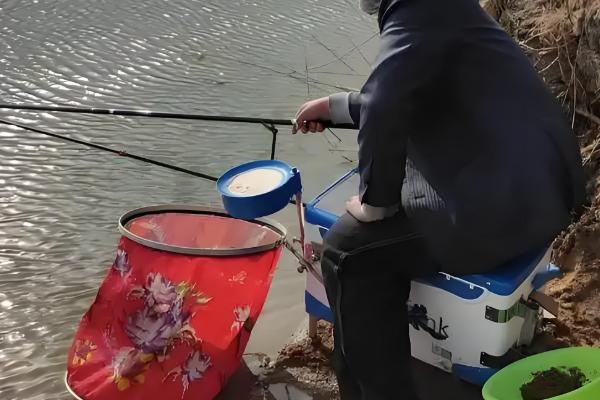 钓白条鱼用哪种饵料打窝，推荐商品饵料、麦麸饼等