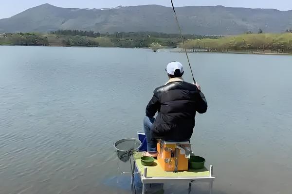 钓白条鱼用哪种饵料打窝，推荐商品饵料、麦麸饼等