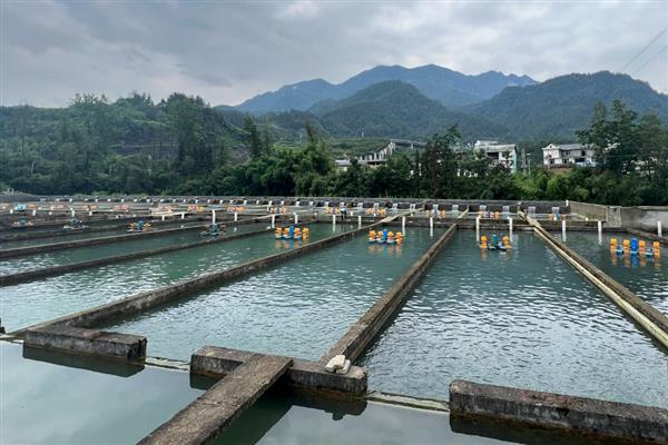 渔业养殖所需手续，要办理《中国人民共和国水域滩涂养殖证》