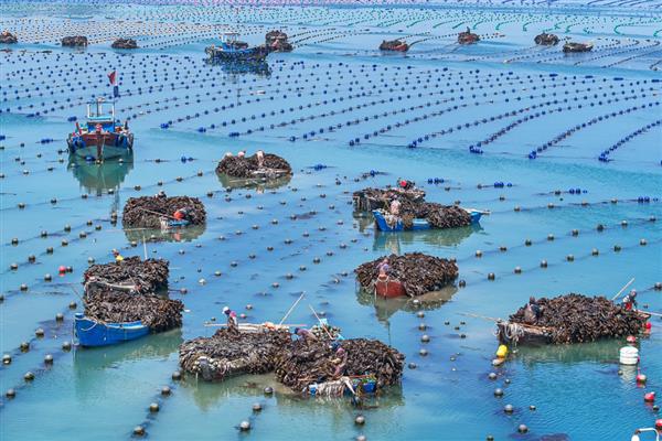 渔业养殖所需手续，要办理《中国人民共和国水域滩涂养殖证》