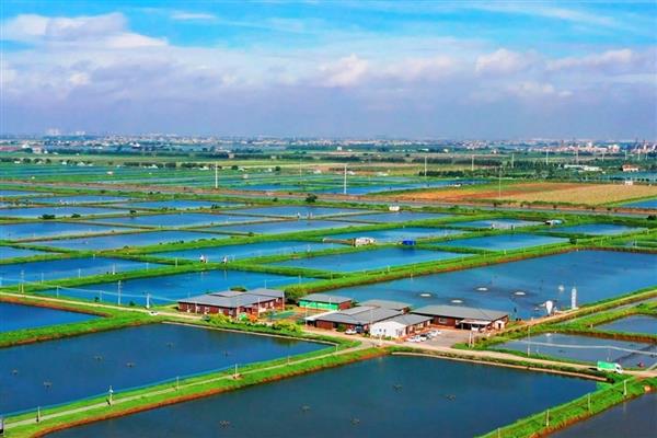 渔业养殖所需手续，要办理《中国人民共和国水域滩涂养殖证》