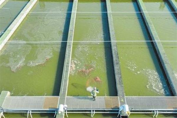 渔业养殖所需手续，要办理《中国人民共和国水域滩涂养殖证》