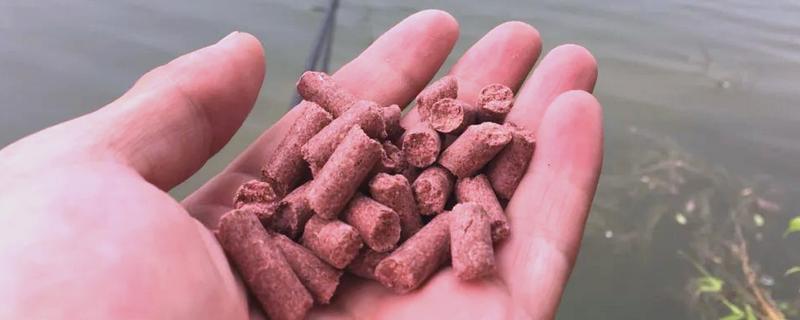 钓鱼要不要打窝，打窝对垂钓有促进效果