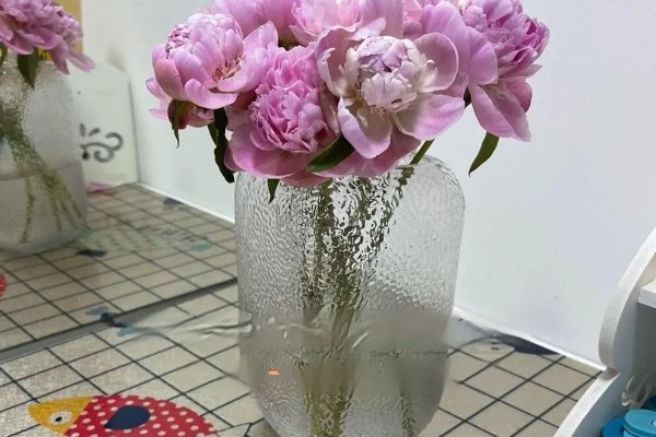 芍药如何扦插才能快速生根，生长期间每个月追肥一次