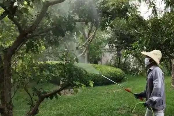 园林植物药害预防措施,要尽可能少用化学药剂