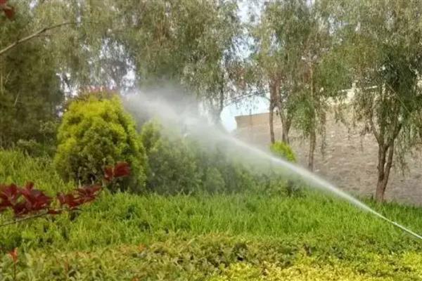 园林植物药害预防措施,要尽可能少用化学药剂