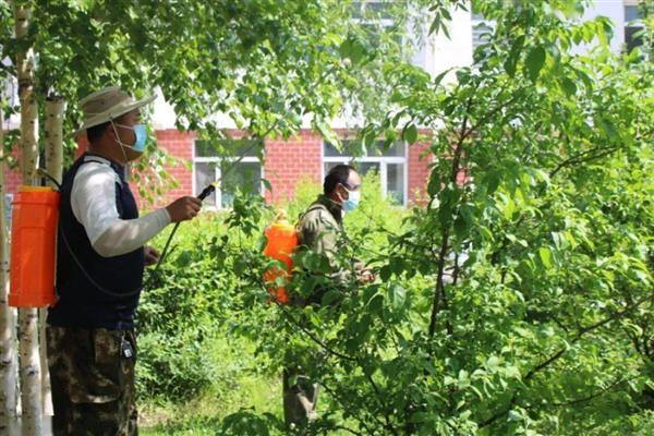 园林植物药害预防措施,要尽可能少用化学药剂