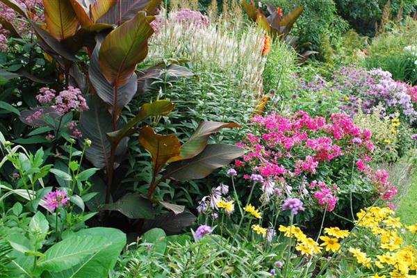 园林植物药害预防措施,要尽可能少用化学药剂