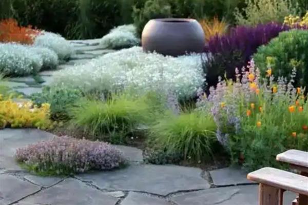 园林植物药害预防措施,要尽可能少用化学药剂