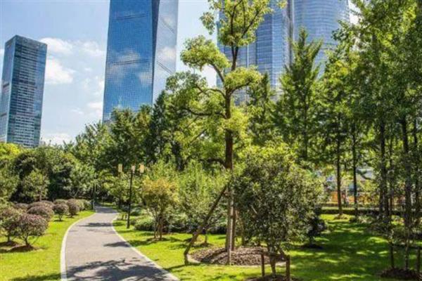 园林植物药害预防措施,要尽可能少用化学药剂