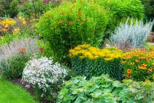 园林植物药害预防措施,要尽可能少用化学药剂