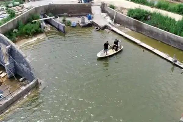 梭子蟹怎么养殖，8-9月份每隔1-2天换一次水