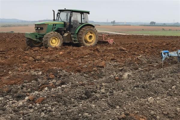 白菜怎么种植，撒播种子覆盖细土