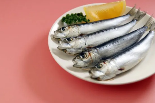 沙丁鱼是什么鱼，指沙丁鱼属、小沙丁鱼属等种类