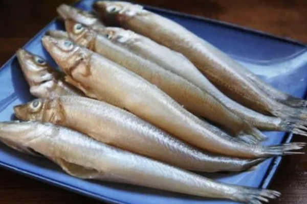 沙丁鱼是什么鱼，指沙丁鱼属、小沙丁鱼属等种类